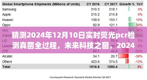 2024年12月11日 第25頁