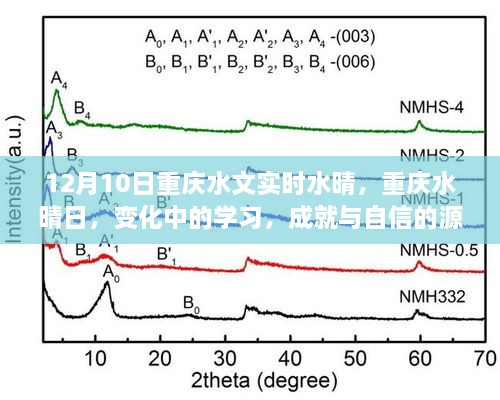 重慶水晴日下的學(xué)習(xí)成就與自信之源，變化中的探索與成長之路