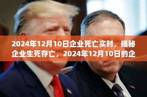 揭秘企業(yè)生死存亡，企業(yè)死亡實(shí)時(shí)真相揭秘（2024年12月10日）