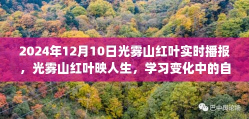 光霧山紅葉映人生，自信與成就之旅的實(shí)時(shí)播報(bào)（2024年12月）