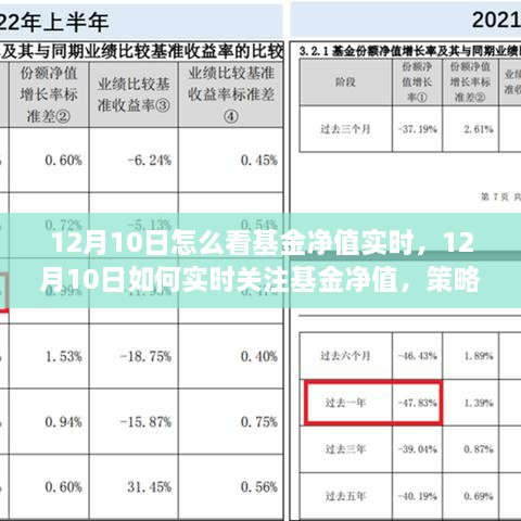 12月10日基金凈值實(shí)時(shí)關(guān)注策略與技巧，如何掌握基金動態(tài)