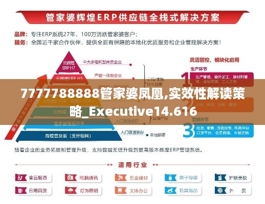 7777788888管家婆鳳凰,實效性解讀策略_Executive14.616