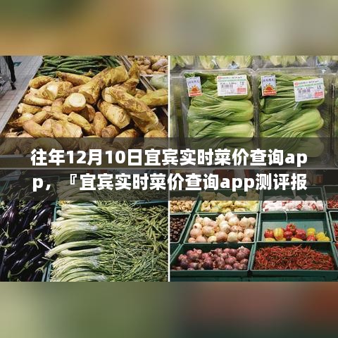 宜賓實(shí)時菜價查詢app歷年功能深度解析與用戶體驗(yàn)洞察測評報告，宜賓歷年菜價變遷一覽無余！