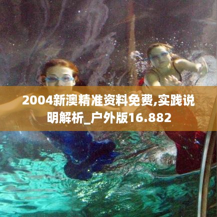 2004新澳精準(zhǔn)資料免費(fèi),實(shí)踐說(shuō)明解析_戶外版16.882