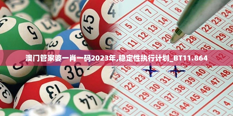 澳門管家婆一肖一碼2023年,穩(wěn)定性執(zhí)行計劃_BT11.864