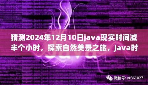 2024年12月12日 第56頁(yè)