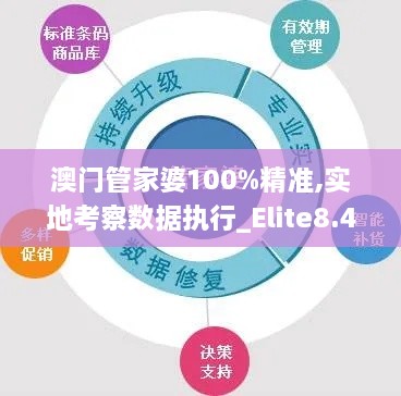 澳門管家婆100%精準(zhǔn),實地考察數(shù)據(jù)執(zhí)行_Elite8.438