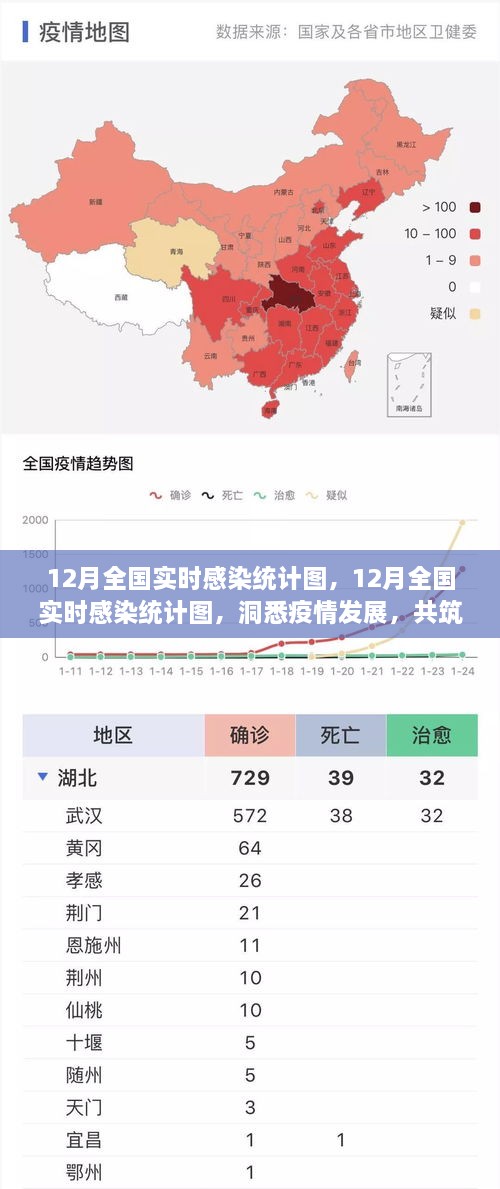 12月全國實時感染統(tǒng)計圖，洞悉疫情，共筑防控新防線