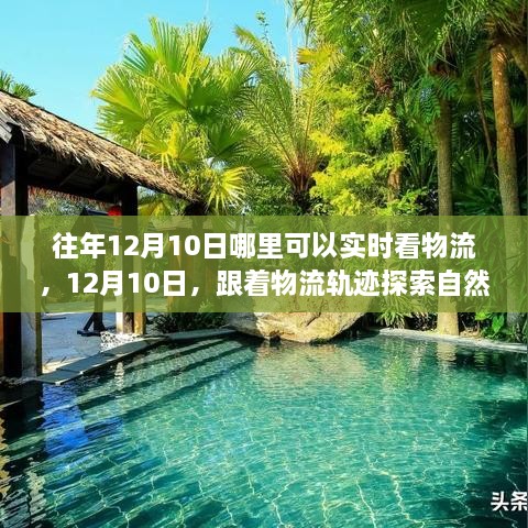 12月10日物流追蹤之旅，自然懷抱的心靈探索之旅