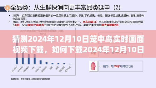 詳細(xì)步驟指南，如何下載2024年籠中鳥實時畫面視頻下載指南及步驟解析