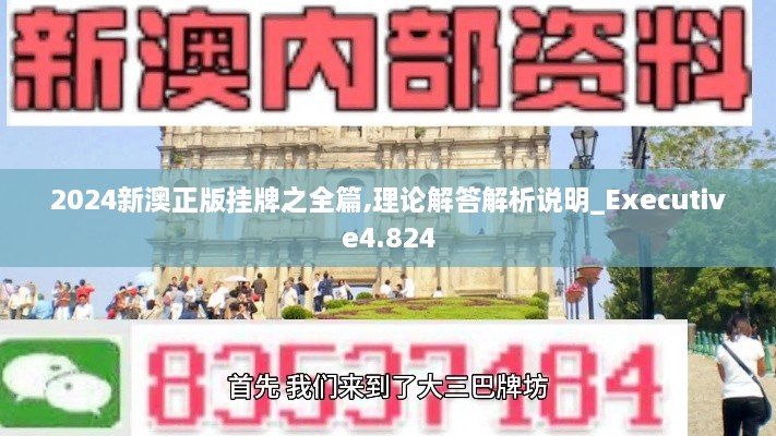 2024新澳正版掛牌之全篇,理論解答解析說明_Executive4.824