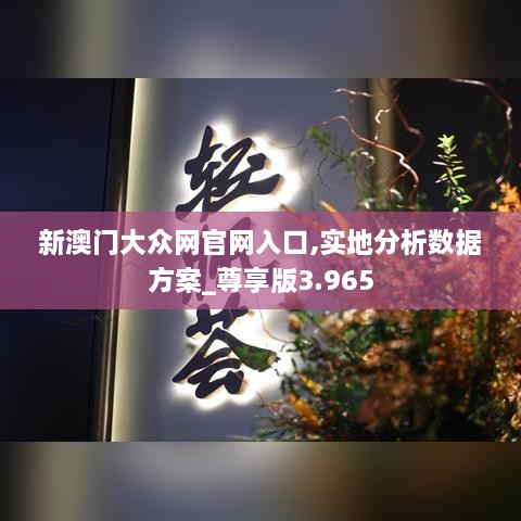 新澳門(mén)大眾網(wǎng)官網(wǎng)入口,實(shí)地分析數(shù)據(jù)方案_尊享版3.965