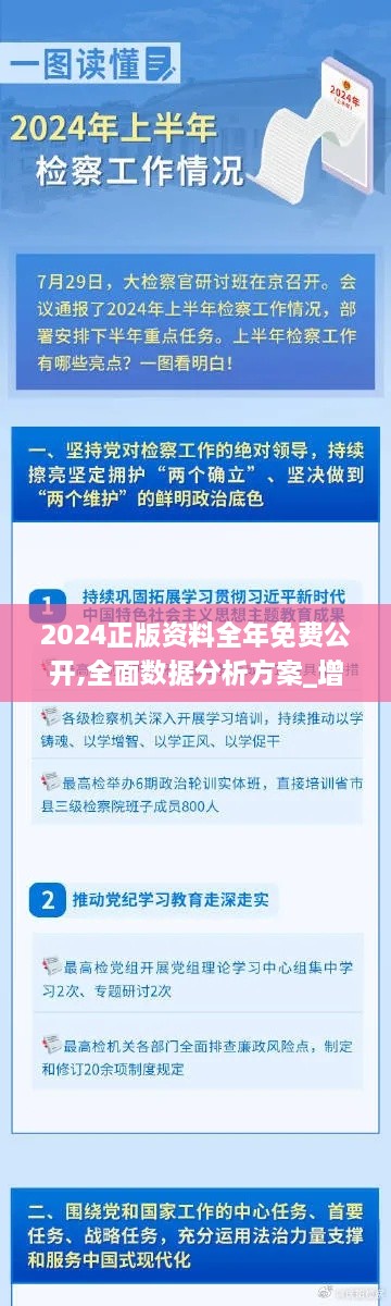 2024正版資料全年免費(fèi)公開(kāi),全面數(shù)據(jù)分析方案_增強(qiáng)版13.833