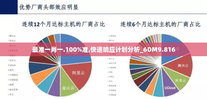 最準一肖一.100%準,快速響應計劃分析_6DM9.816