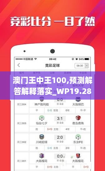 澳門王中王100,預(yù)測解答解釋落實_WP19.287