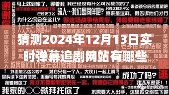 2024年實時彈幕追劇網(wǎng)站展望，背景、發(fā)展與行業(yè)地位深度解析