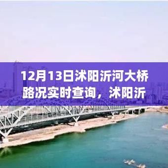 沭陽(yáng)沂河大橋?qū)崟r(shí)路況深度解析，影響與價(jià)值探討