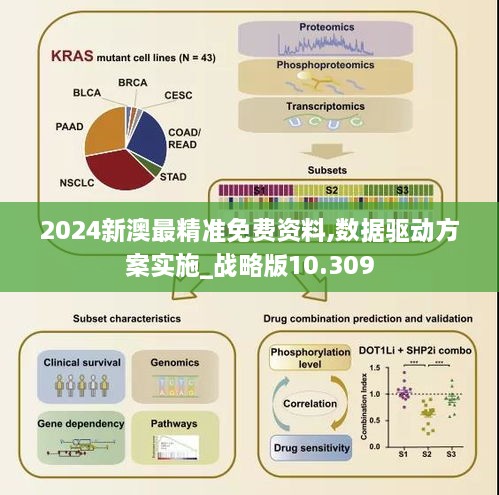 2024新澳最精準免費資料,數(shù)據(jù)驅(qū)動方案實施_戰(zhàn)略版10.309