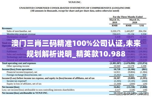 澳門三肖三碼精準(zhǔn)100%公司認(rèn)證,未來(lái)規(guī)劃解析說明_精英款10.988