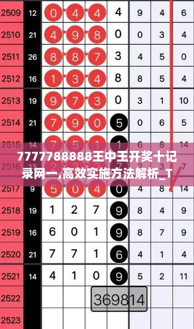 7777788888王中王開獎十記錄網(wǎng)一,高效實施方法解析_Tizen2.756