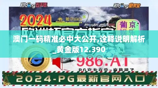 澳門一碼精準(zhǔn)必中大公開,詮釋說明解析_黃金版12.390