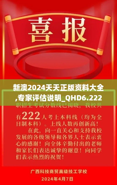 新澳2024天天正版資料大全,專家評估說明_QHD6.222