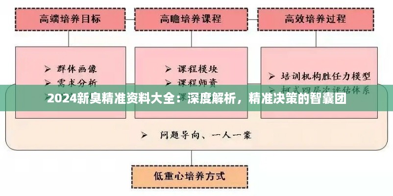 2024新臭精準資料大全：深度解析，精準決策的智囊團