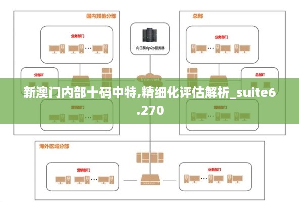 新澳門內(nèi)部十碼中特,精細(xì)化評(píng)估解析_suite6.270