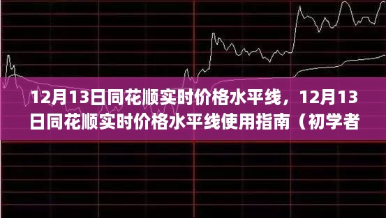 12月13日同花順實(shí)時(shí)價(jià)格水平線使用指南，從入門到進(jìn)階