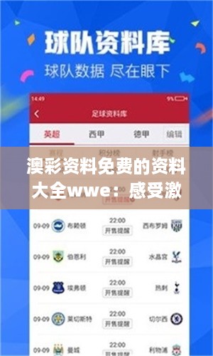 澳彩資料免費(fèi)的資料大全wwe：感受激動(dòng)人心的摔角競(jìng)技精神