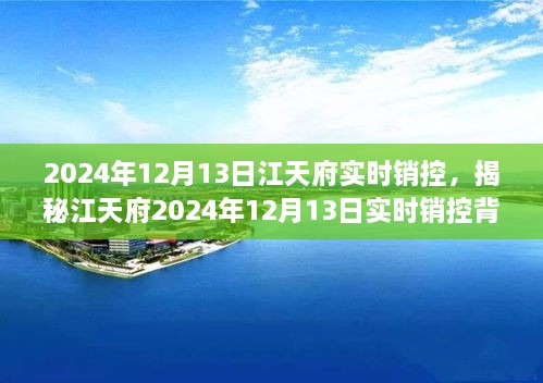 揭秘江天府實時銷控背后的秘密，深度解析2024年12月13日數(shù)據(jù)動態(tài)與趨勢分析