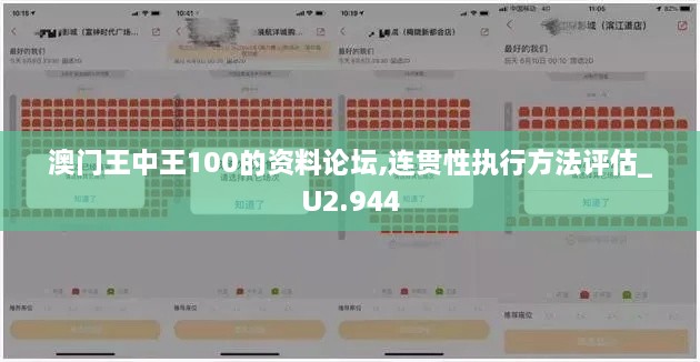 澳門王中王100的資料論壇,連貫性執(zhí)行方法評估_U2.944