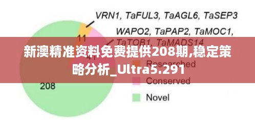 新澳精準資料免費提供208期,穩(wěn)定策略分析_Ultra5.291