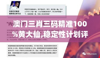 澳門三肖三碼精準100%黃大仙,穩(wěn)定性計劃評估_WearOS7.187