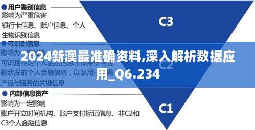 2024新澳最準確資料,深入解析數(shù)據(jù)應(yīng)用_Q6.234