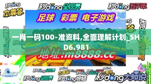 一肖一碼100-準資料,全面理解計劃_SHD6.981