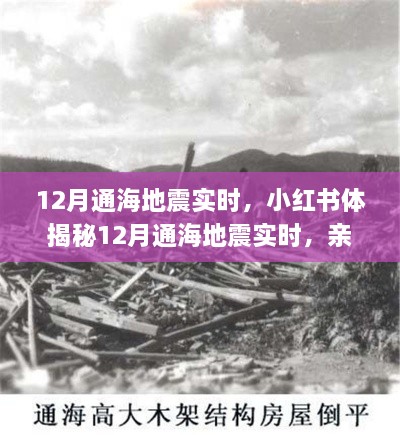 揭秘通海地震親歷者真實(shí)感受與應(yīng)對(duì)策略，小紅書實(shí)時(shí)更新地震動(dòng)態(tài)！