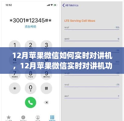 12月蘋果微信實(shí)時(shí)對講機(jī)功能使用指南，步驟詳解與操作技巧
