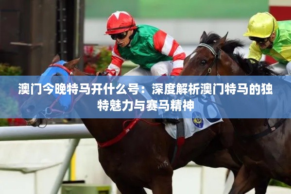 澳門今晚特馬開什么號：深度解析澳門特馬的獨(dú)特魅力與賽馬精神