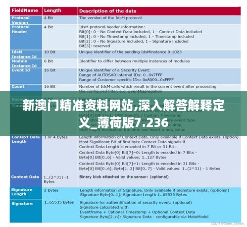 新澳門精準資料網(wǎng)站,深入解答解釋定義_薄荷版7.236