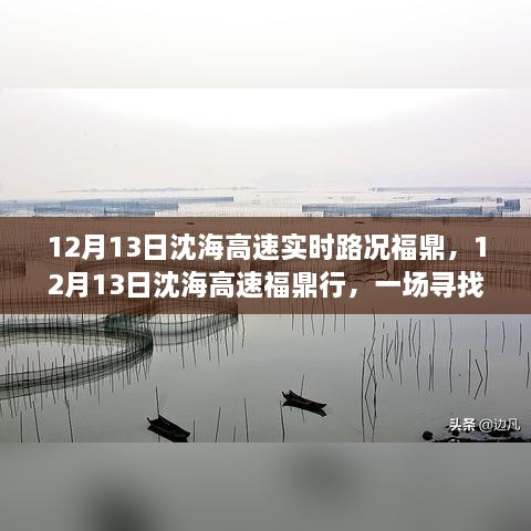 12月13日沈海高速福鼎路況實(shí)時(shí)更新，心靈與自然之旅的親密接觸