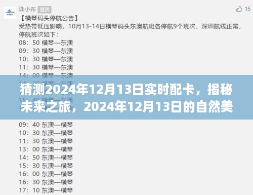 揭秘未來(lái)之旅，啟程尋找內(nèi)心的寧?kù)o與平和——2024年12月13日自然美景配卡猜想