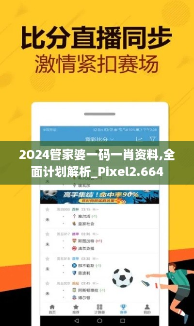 2O24管家婆一碼一肖資料,全面計劃解析_Pixel2.664