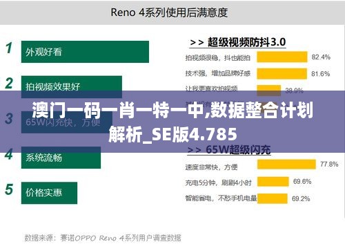 澳門(mén)一碼一肖一特一中,數(shù)據(jù)整合計(jì)劃解析_SE版4.785