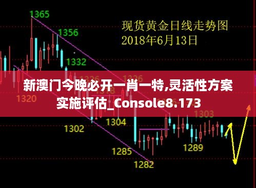 新澳門(mén)今晚必開(kāi)一肖一特,靈活性方案實(shí)施評(píng)估_Console8.173