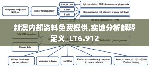 新澳內(nèi)部資料免費提供,實地分析解釋定義_LT6.912