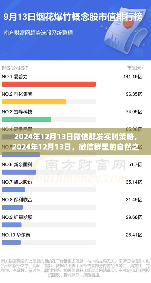 新聞動(dòng)態(tài) 第14頁