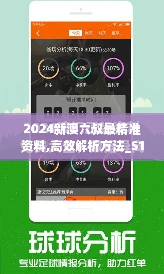 2024新澳六叔最精準資料,高效解析方法_S12.507