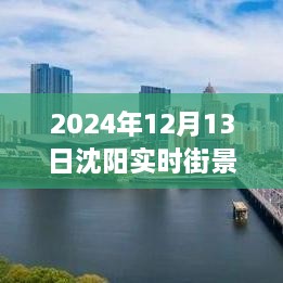 沈陽獨家揭秘，2024年實時街景地圖全解析，領略城市新風貌