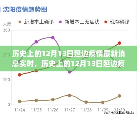 多維度視角下的深度分析，歷史上的延邊疫情最新消息實(shí)時(shí)報(bào)道與解讀（截至12月13日）